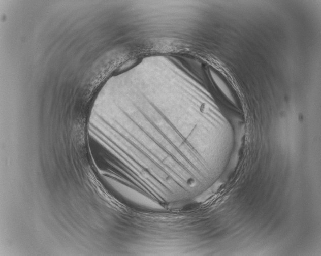 X0000053080393200508081251