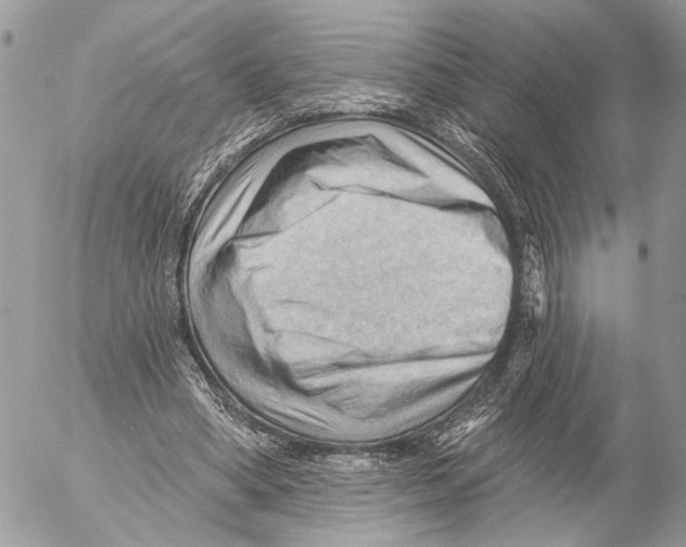 X0000053080394200508081250