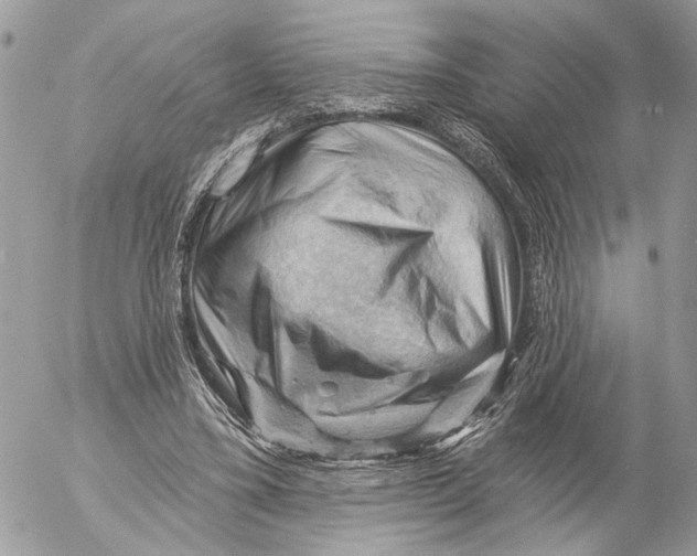 X0000053080395200508081250