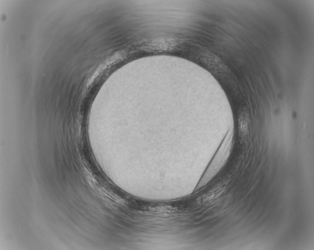 X0000053080396200508081250