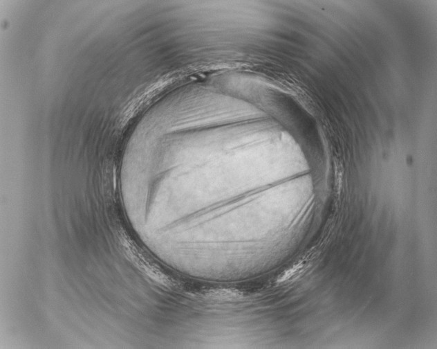 X0000053080397200508081250