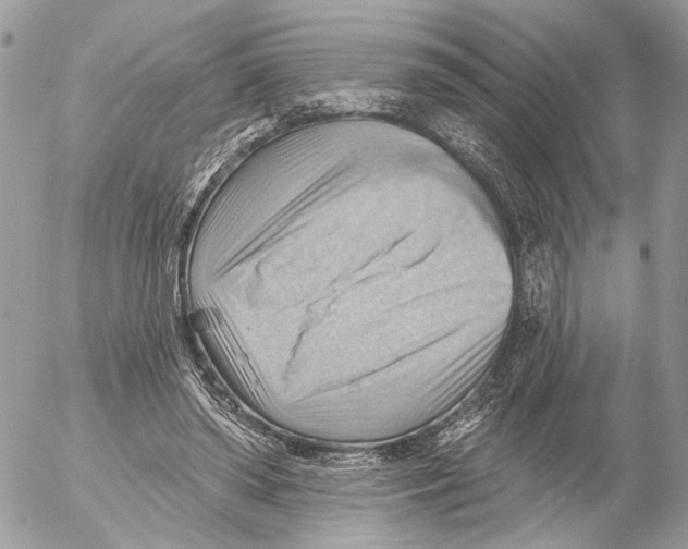 X0000053080398200508081250