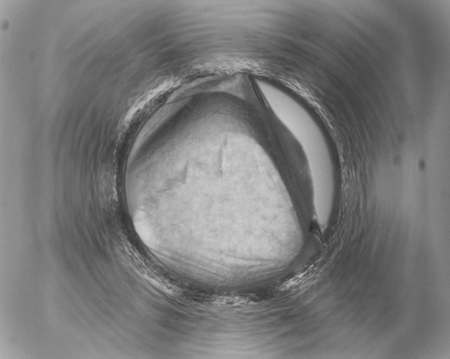 X0000053080399200508081250