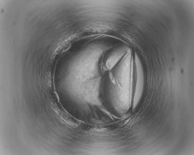 X0000053080403200508081250