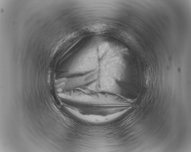 X0000053080404200508081250