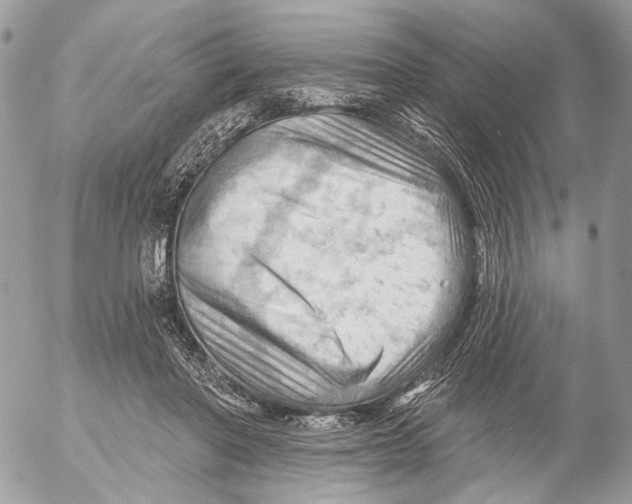 X0000053080406200508081250