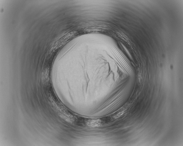 X0000053080410200508081250