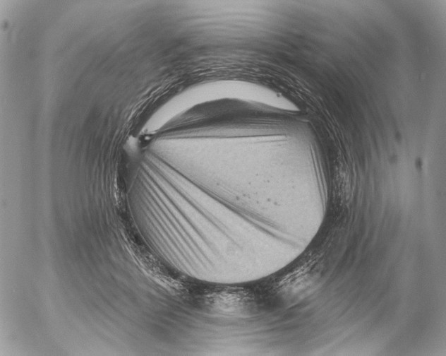 X0000053080412200508081250