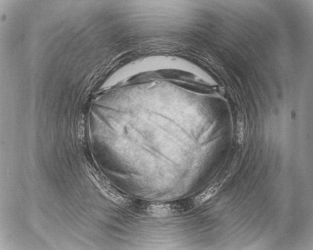 X0000053080413200508081250