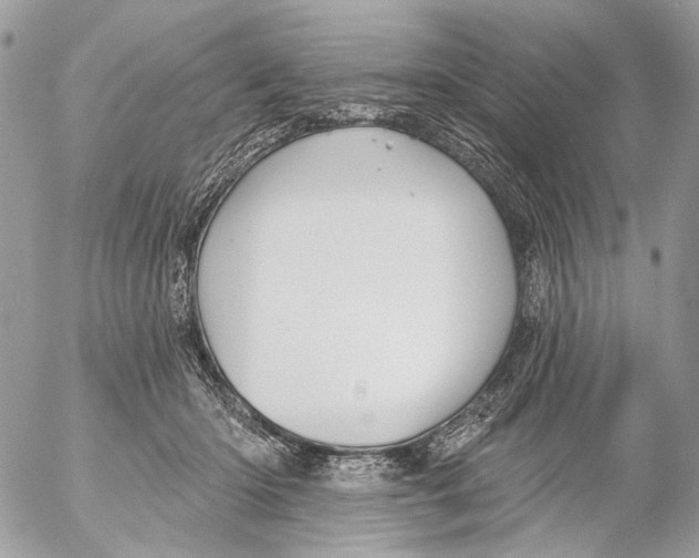 X0000053080414200508081250