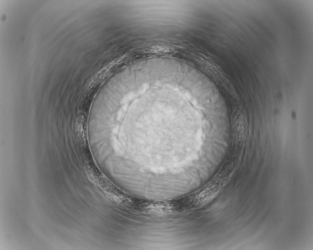 X0000053080415200508081250