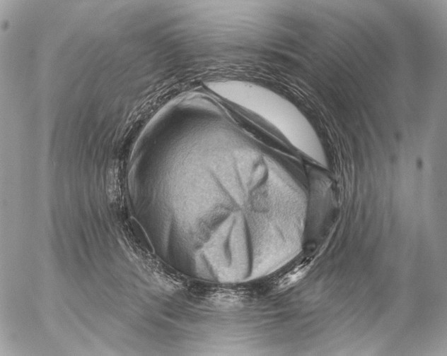 X0000053080416200508081250