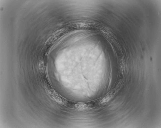 X0000053080419200508081250