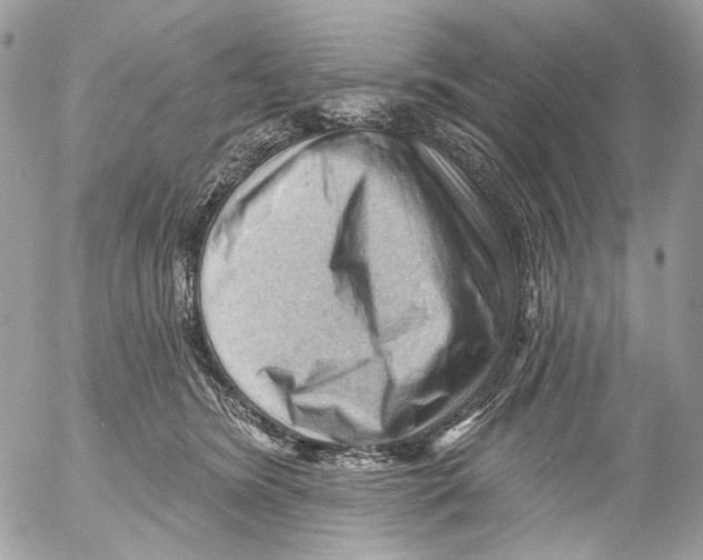 X0000053080420200508081250