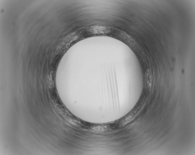 X0000053080422200508081250