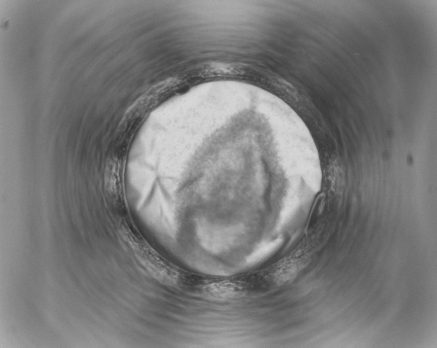 X0000053080423200508081250