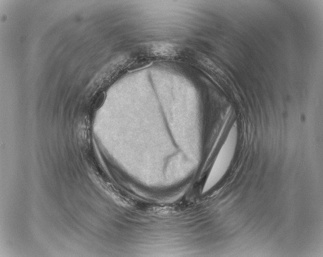 X0000053080424200508081250