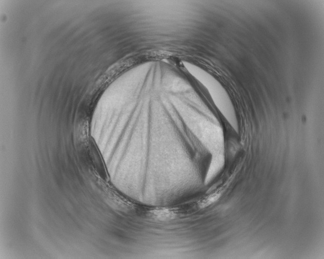 X0000053080425200508081250