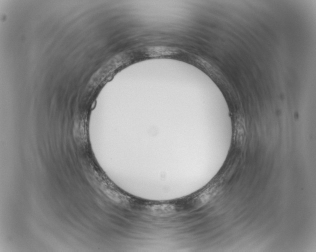 X0000053080426200508081250