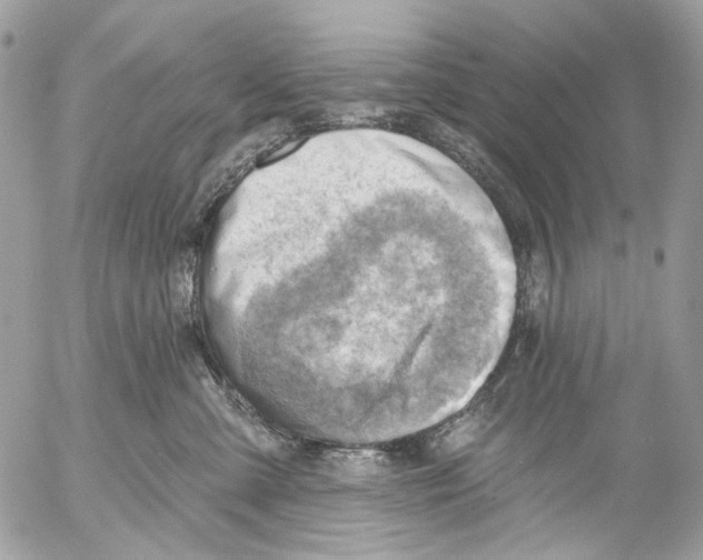 X0000053080427200508081250