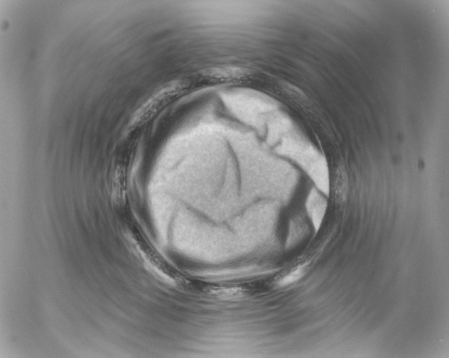 X0000053080428200508081250