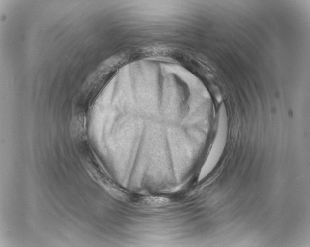 X0000053080429200508081250