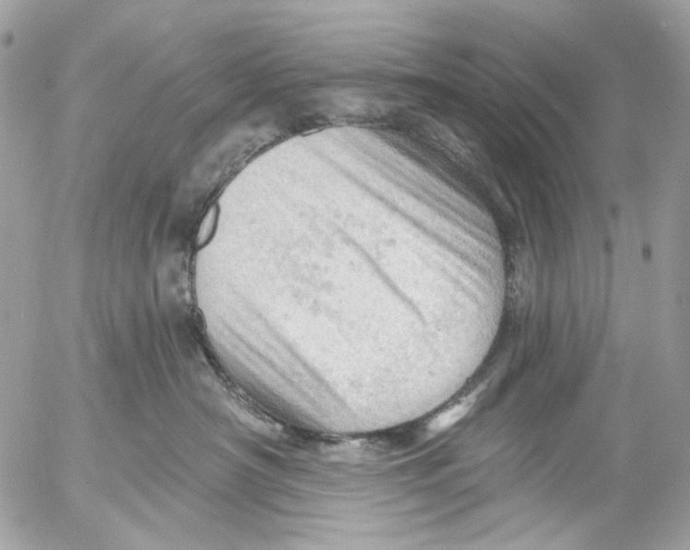 X0000053080430200508081250