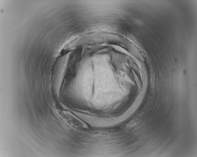 X0000053080434200508081249