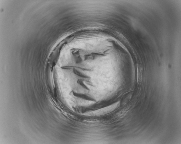 X0000053080435200508081249