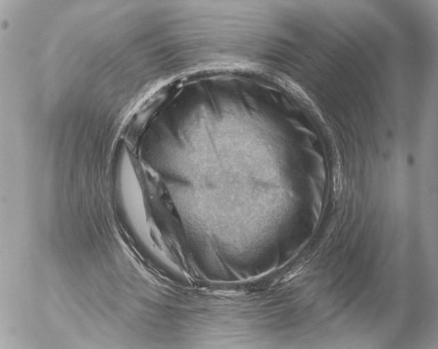 X0000053080436200508081249