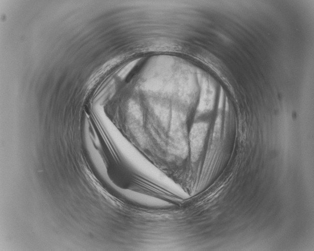 X0000053080437200508081249