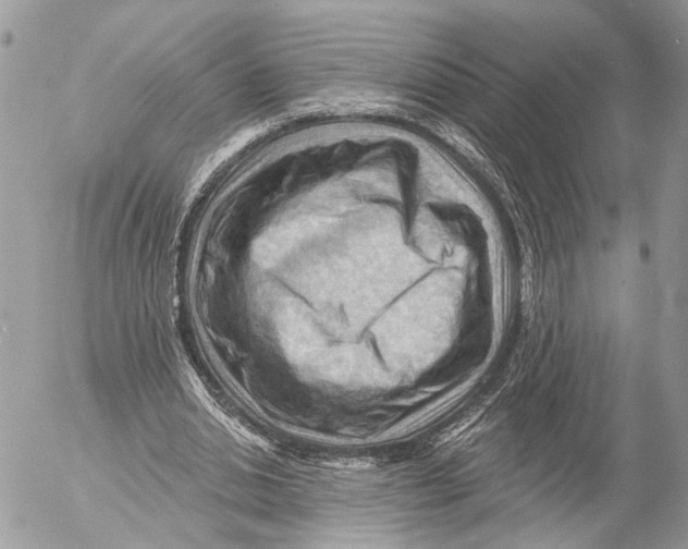 X0000053080438200508081249