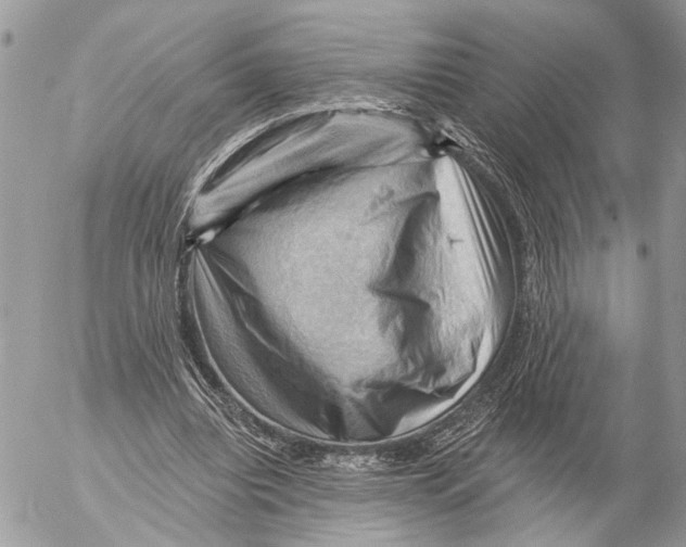 X0000053080440200508081249