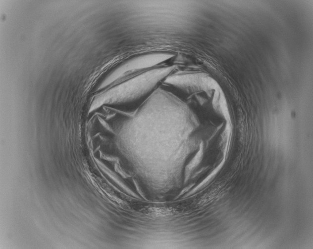 X0000053080442200508081249