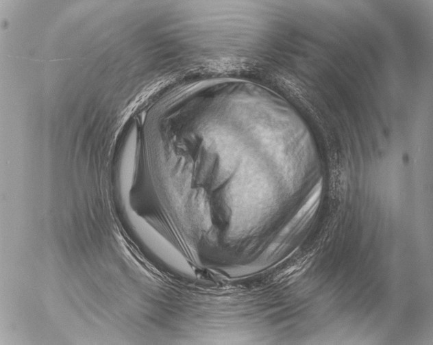 X0000053080443200508081249