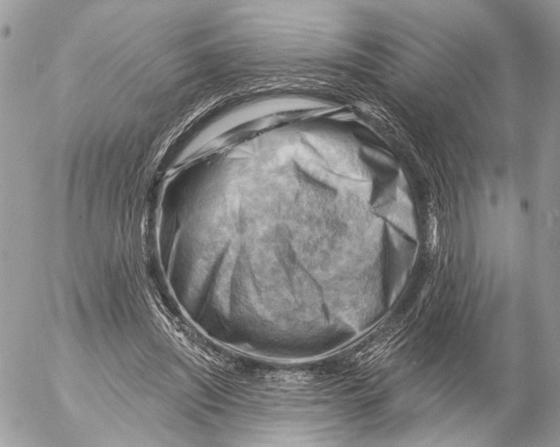 X0000053080444200508081249