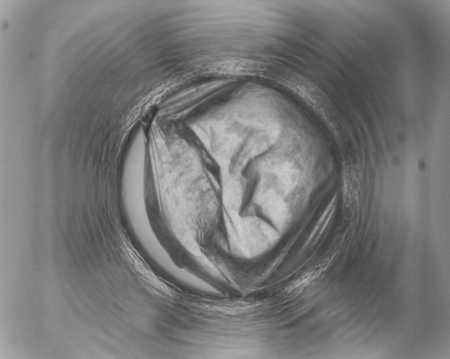 X0000053080445200508081249