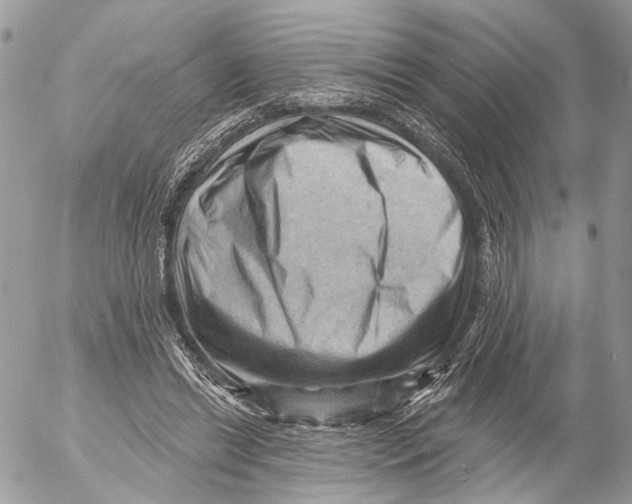 X0000053080446200508081249