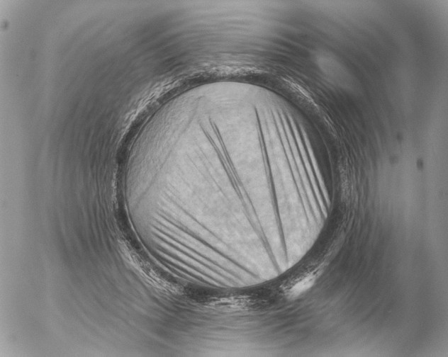 X0000053080447200508081249