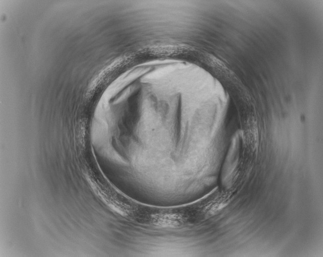 X0000053080448200508081249