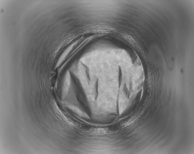 X0000053080449200508081249