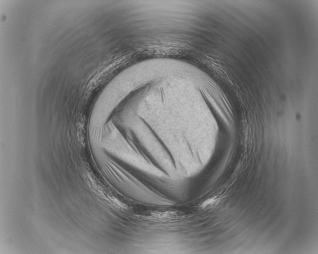 X0000053080450200508081249