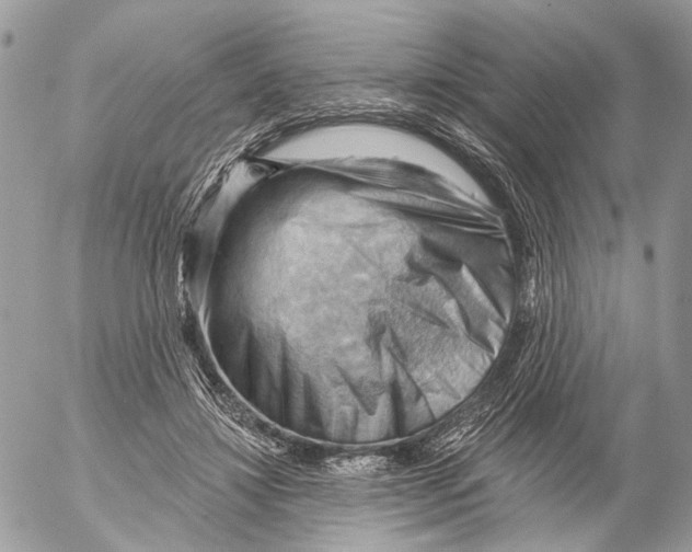 X0000053080452200508081249