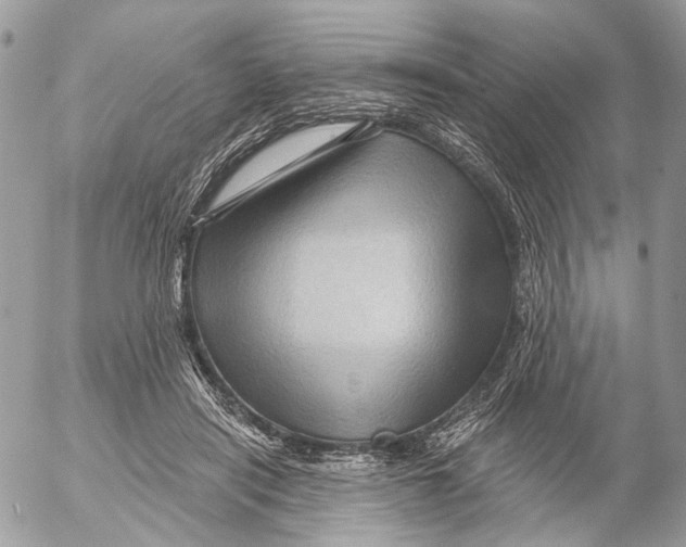 X0000053080454200508081249