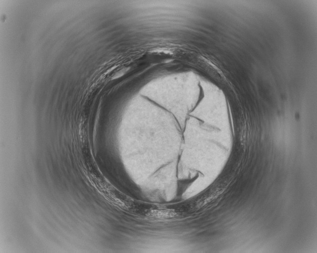 X0000053080455200508081249