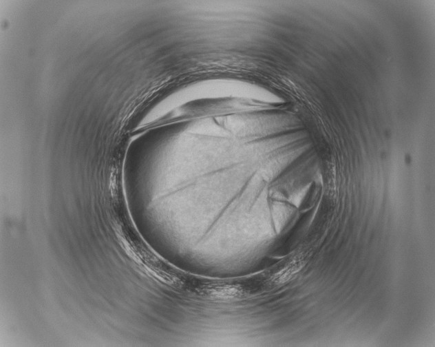 X0000053080456200508081249