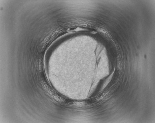 X0000053080457200508081249