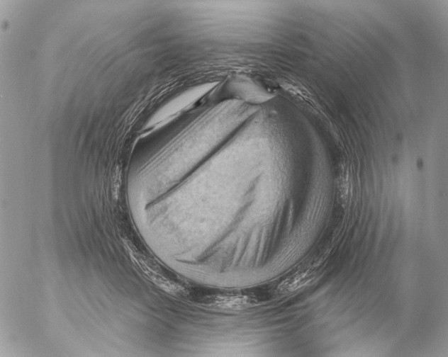 X0000053080458200508081249