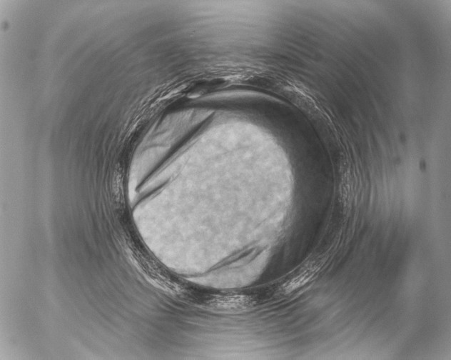 X0000053080459200508081249