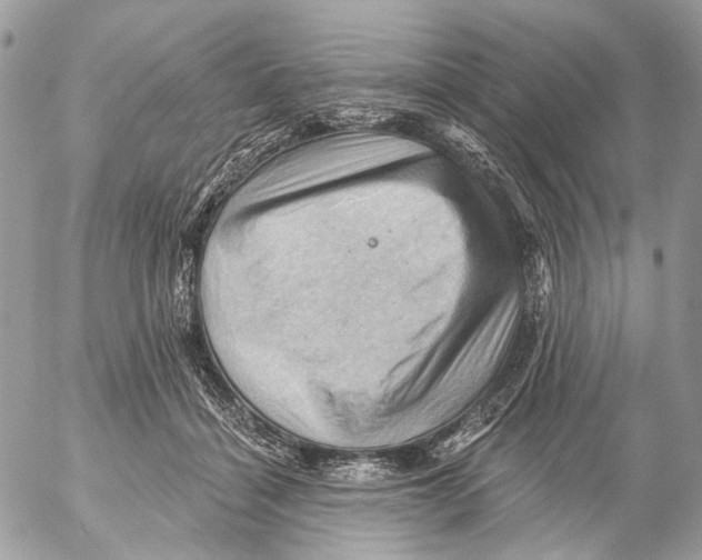 X0000053080460200508081250